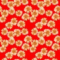 Seamless pattern with yellow orange daisies Royalty Free Stock Photo