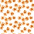 Seamless pattern with yellow orange daisies Royalty Free Stock Photo