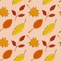 Seamless pattern with yellow, orange and red autumn leaves Royalty Free Stock Photo