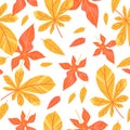 Seamless pattern of yellow and red leaves on a white background