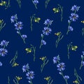 Seamless pattern with yellow rocket and blue chicory flowers.