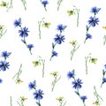 Seamless pattern with yellow rocket and blue chicory flowers.