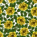 Seamless pattern with yellow roses. Beautiful realistic flowers with leaves. Photorealixtic rose bud, clean vector high detailed Royalty Free Stock Photo