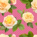Seamless pattern of yellow roses. Photorealistic roses on a pink background in polka dots. Royalty Free Stock Photo