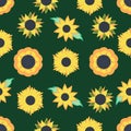 Seamless pattern of yellow summer flowers, a set of sunny flowers, flowers with leaves, a sunflower silhouette in a flat Royalty Free Stock Photo