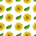 Seamless pattern with yellow sunflower and green leaves isolated on white background. Watercolor gouache hand drawn illustration