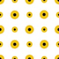 Seamless pattern yellow Sunflowers isolated on white background Royalty Free Stock Photo