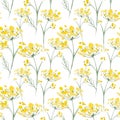 Seamless pattern. Yellow wildflowers. Background banner.