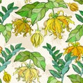 Seamless pattern with yellow ylang ylang flowers and leaves