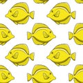 Seamless pattern with yellow zebrasoma fish. Vector background with tropical fish.