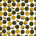 Seamless pattern with Zapallo Macre Squash.