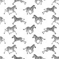 Seamless pattern with zebras