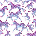 Seamless pattern with zebras