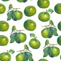 Seamless patterns apple tree with colorful foliage and ripe fruit apples. Hand drawing watercolor. Template for decoration and des Royalty Free Stock Photo