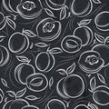 Seamless Patterns with apricot, plum and peach on grunge blackb Royalty Free Stock Photo