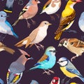 Seamless patterns with birds