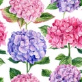 Seamless patterns of branches of hydrangea flower and leaves on an isolated background. Watercolor flowers