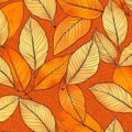 seamless patterns with leaf Royalty Free Stock Photo