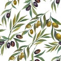 Seamless patterns with watercolor olives. Background with olive branches highlighted on a white background. Olive