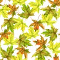 Seamless patttern with leaves Royalty Free Stock Photo