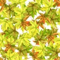 Seamless patttern with leaves Royalty Free Stock Photo