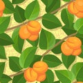 Seamless peach on branches background pattern