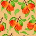 Seamless peach pattern with fruits, leaves, flowers background. Watercolor peach tree seamless background. Royalty Free Stock Photo