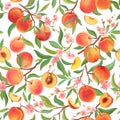 Seamless peach pattern with tropic fruits, leaves, flowers background. illustration in watercolor style