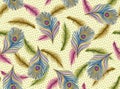 Seamless peacock feather pattern Royalty Free Stock Photo