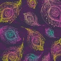 Seamless peacock feather pattern background