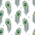 Seamless peacock feathers pattern. Vector background