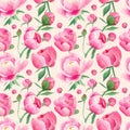 Seamless peonies pattern. Watercolor botanical illustration with pink peony flowers, bud, petals branches Royalty Free Stock Photo