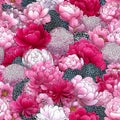 Seamless Peony Pattern. Floral Texture Background Royalty Free Stock Photo