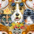 Seamless pattern of of dog, guinea pig, cat, mini pig and rat. Watercolor pets illustration. Watercolor hand drawn