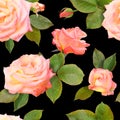 Seamless photo-realistic pattern of tea roses on a black background.