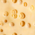 Seamless photo texture of cheese Royalty Free Stock Photo