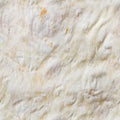 Seamless photo texture of wheat pita bread