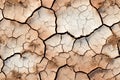 Seamless photorealistic cracked arid dry soil or earth texture