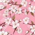 Seamless pink background pattern of pink Sakura blossom or Japanese flowering cherry symbolic of Spring in a random arrangement Royalty Free Stock Photo