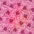 Seamless [pink floral background. Flowers roses. Close up. Royalty Free Stock Photo