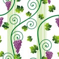 Seamless pink grape pattern