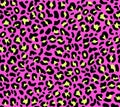 Seamless pink leopard pattern