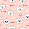 Seamless pink pattern with cute pomeranian dog