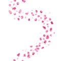Seamless Pink Rose Petals Pattern Royalty Free Stock Photo