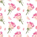 Seamless pink roses pattern. Watercolor background with delicate rose flower and petal. Botanical illustration for fabric, wedding Royalty Free Stock Photo