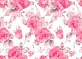 Seamless pink textile floral pattern on white background