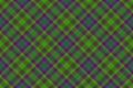 Seamless plaid fabric. Tartan vector pattern. Textile background check texture Royalty Free Stock Photo