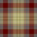 Seamless plaid pattern Royalty Free Stock Photo