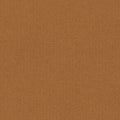 Seamless plain cardboard box background. Empty textured brown paper surface Royalty Free Stock Photo