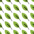 Seamless plant leaves pattern. Vector hand drawn illustration Royalty Free Stock Photo
